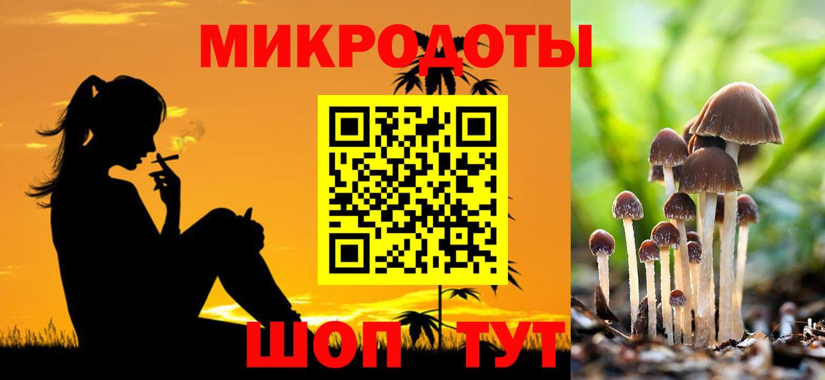 Галлюциногенные грибы прущие грибы Барабинск